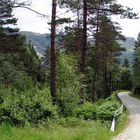 Landschaft in Norwegen 1