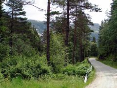 Landschaft in Norwegen 1