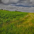 Landschaft in Öl