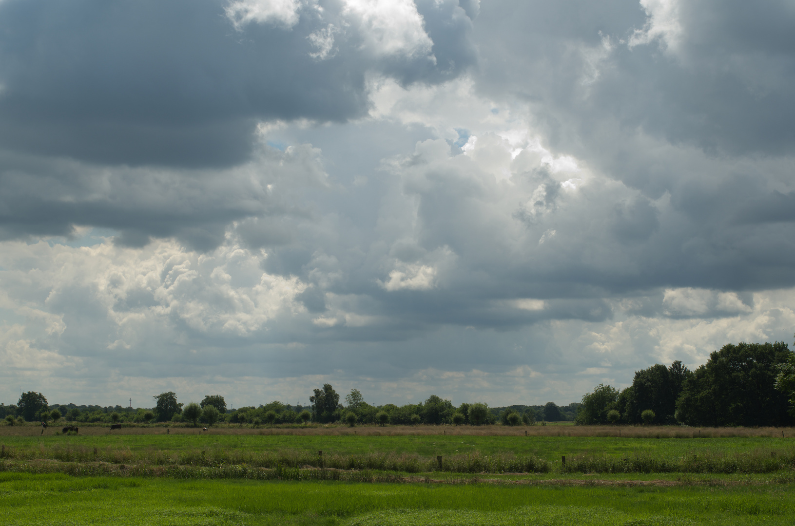 Landschaft in Oldenburg