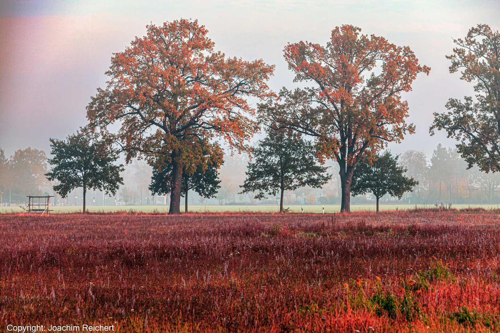 Landschaft in Ostbrandenburg