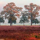 Landschaft in Ostbrandenburg