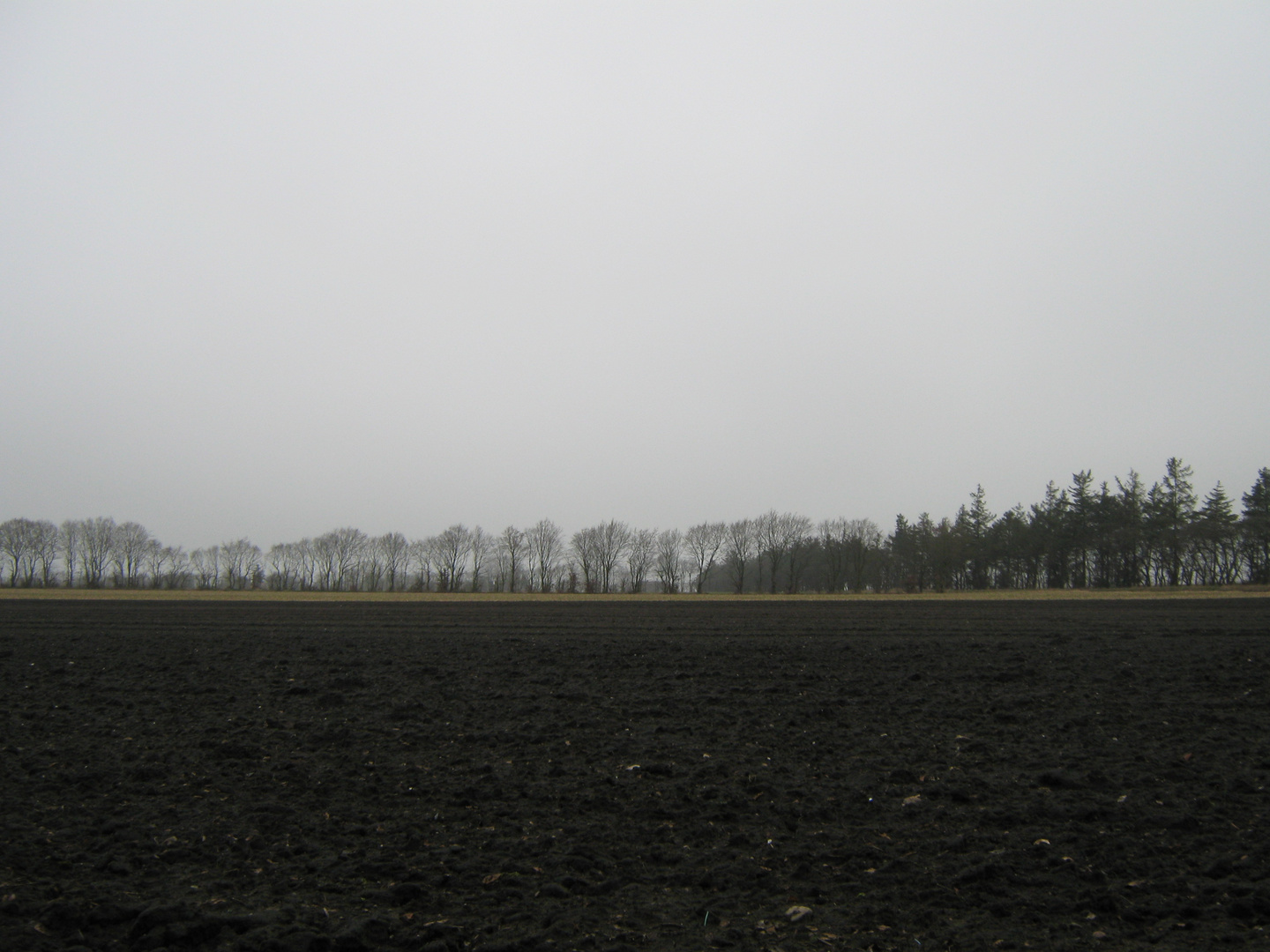 Landschaft in Ostfriesland