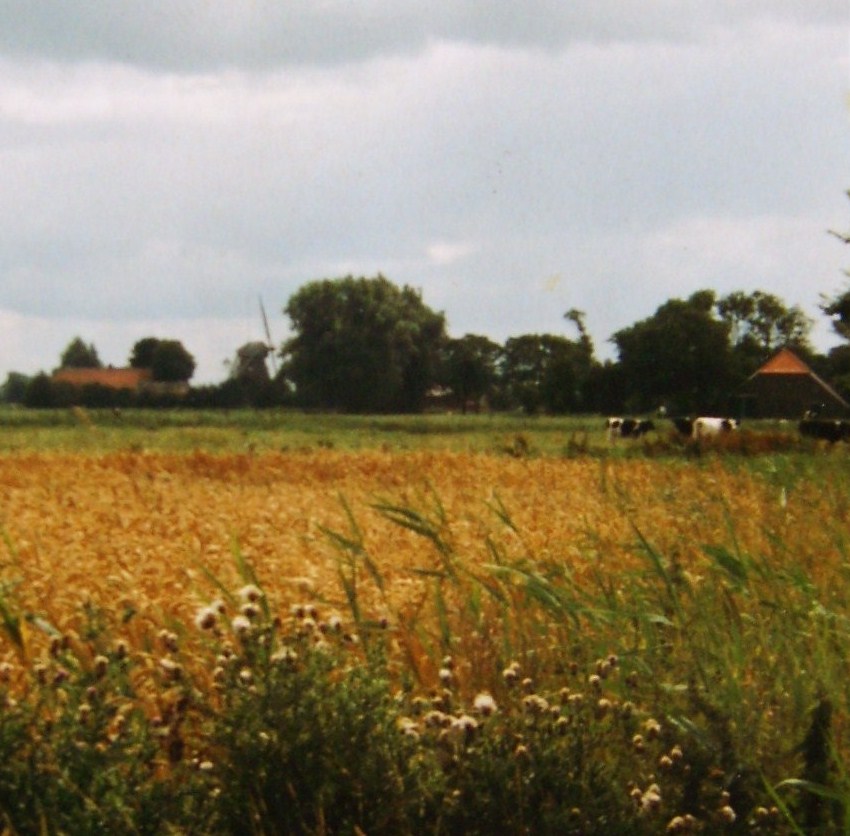 Landschaft in Ostfriesland