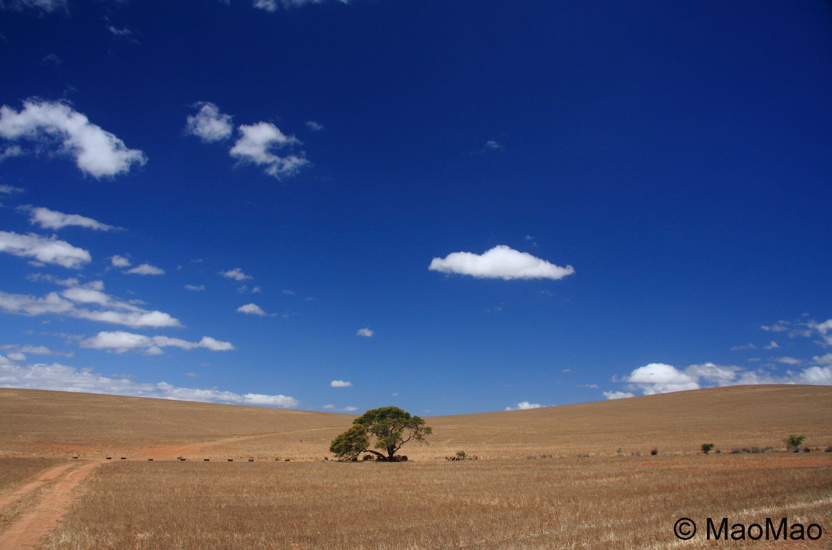 Landschaft in Overberg