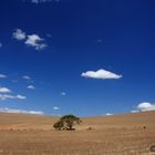 Landschaft in Overberg