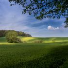 Landschaft in OVP