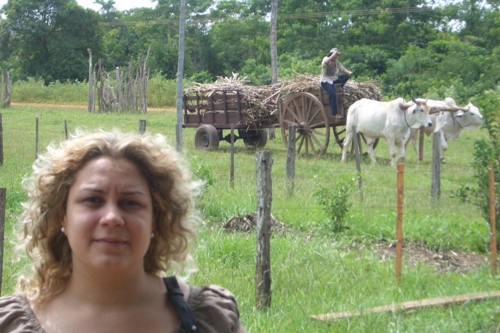 Landschaft in Paraguay