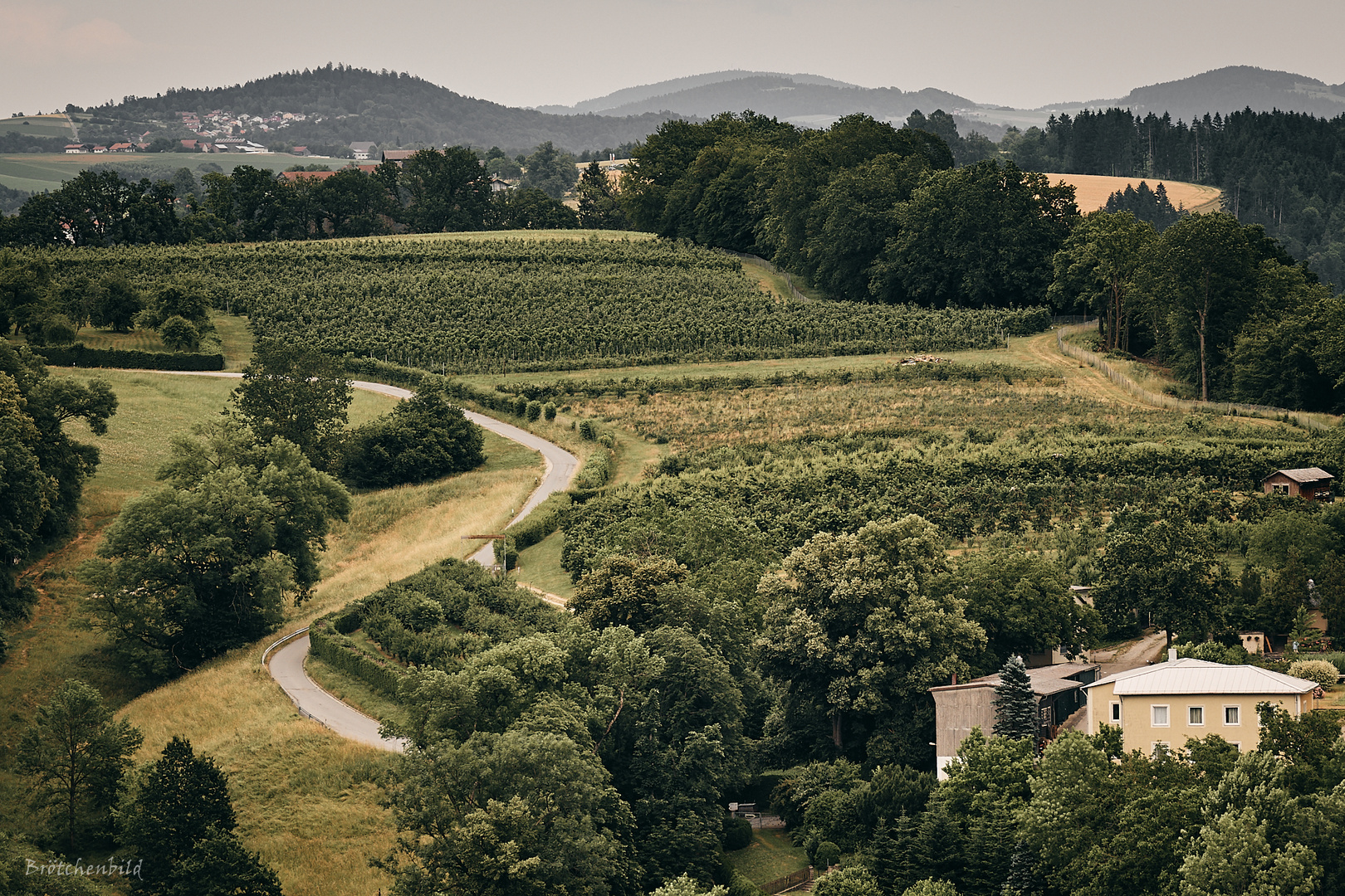 Landschaft in Passau