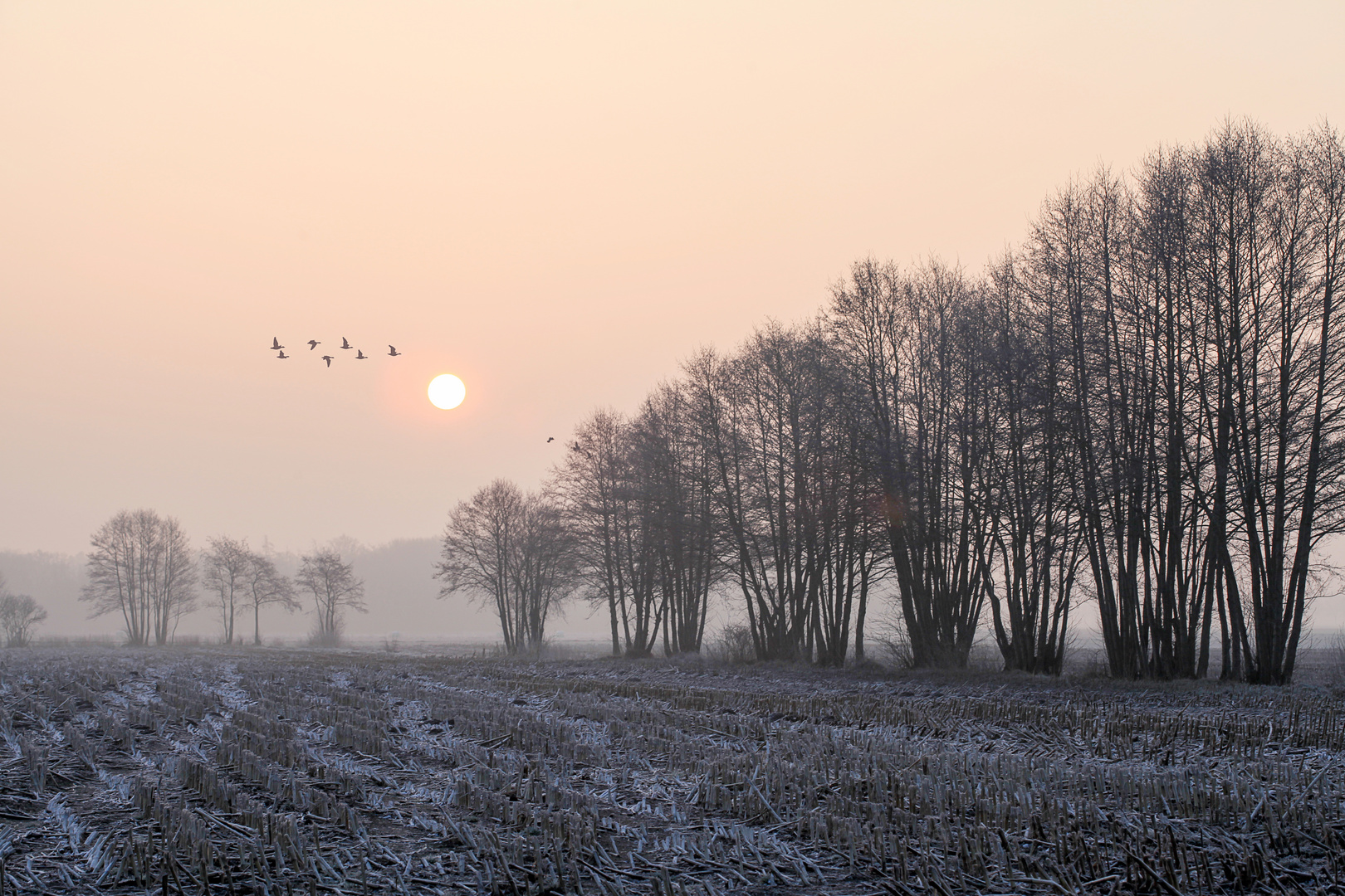 Landschaft in Pastell