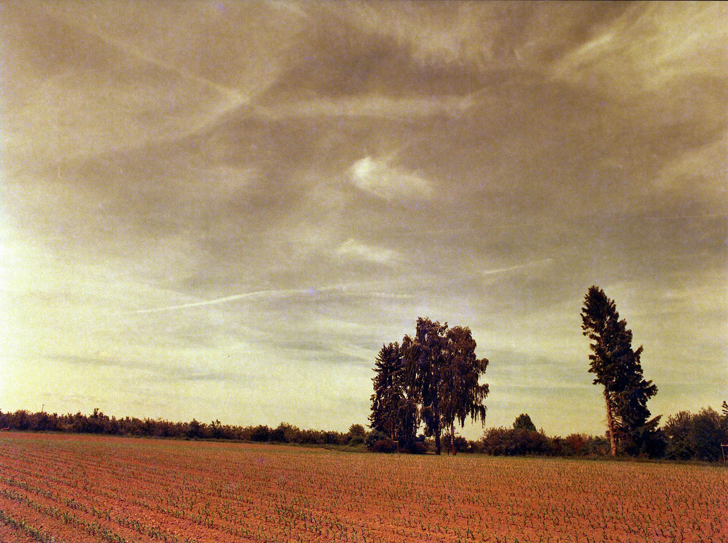 Landschaft in Redscale