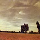 Landschaft in Redscale