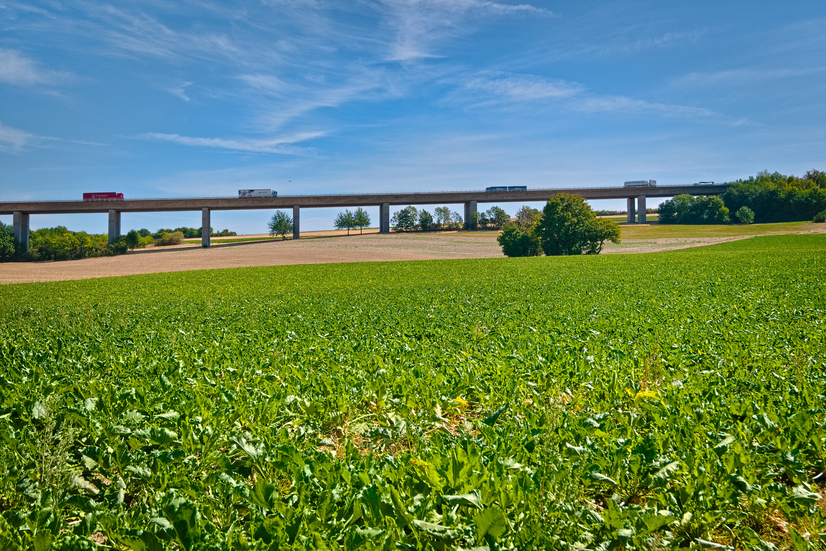 Landschaft in Rheinhessen