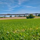 Landschaft in Rheinhessen