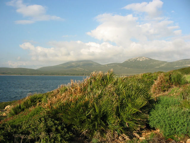 Landschaft in Sardinien