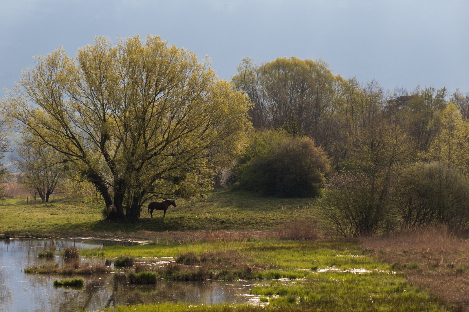 Landschaft in Savoyen