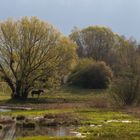 Landschaft in Savoyen