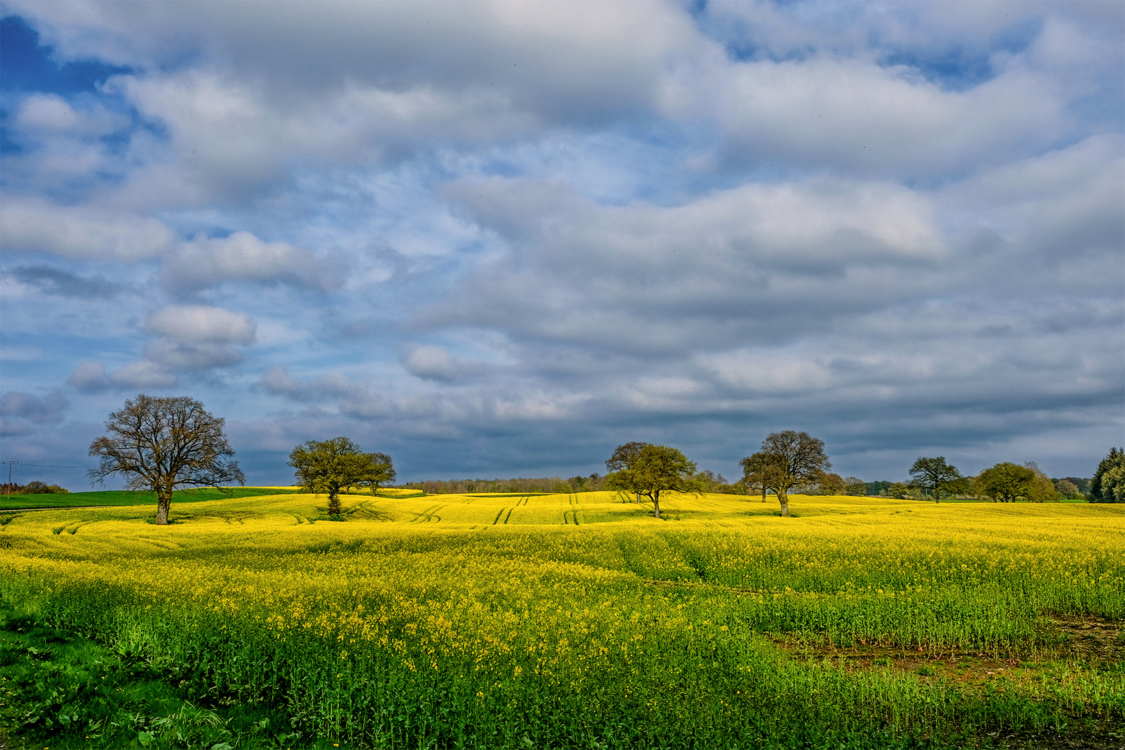 Landschaft in Schleswig-Holstein 