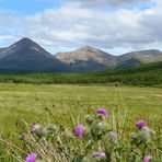 Landschaft in Schottland