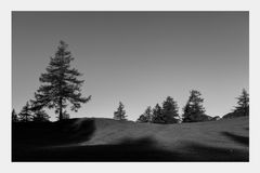 Landschaft in schwarz weiß