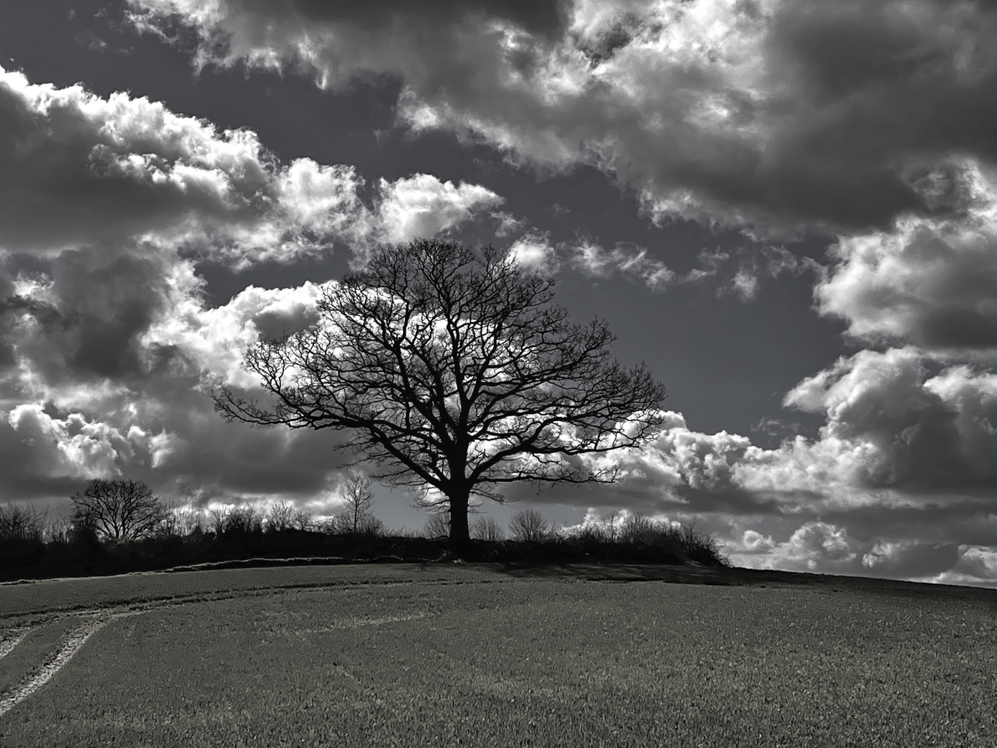 Landschaft in schwarz-weiß