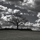 Landschaft in schwarz-weiß