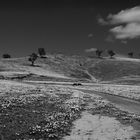 Landschaft in schwarz-weiß