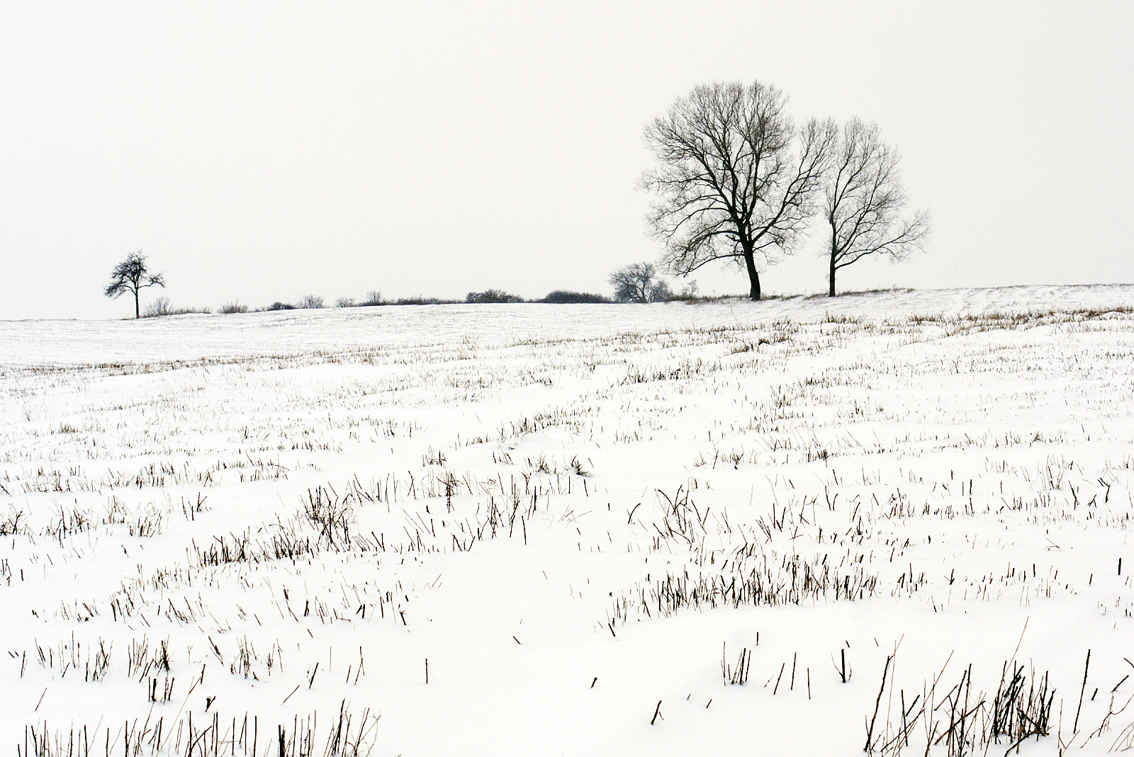 Landschaft in SchwarzWeiß