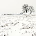 Landschaft in SchwarzWeiß