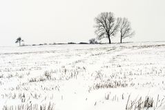 Landschaft in SchwarzWeiß