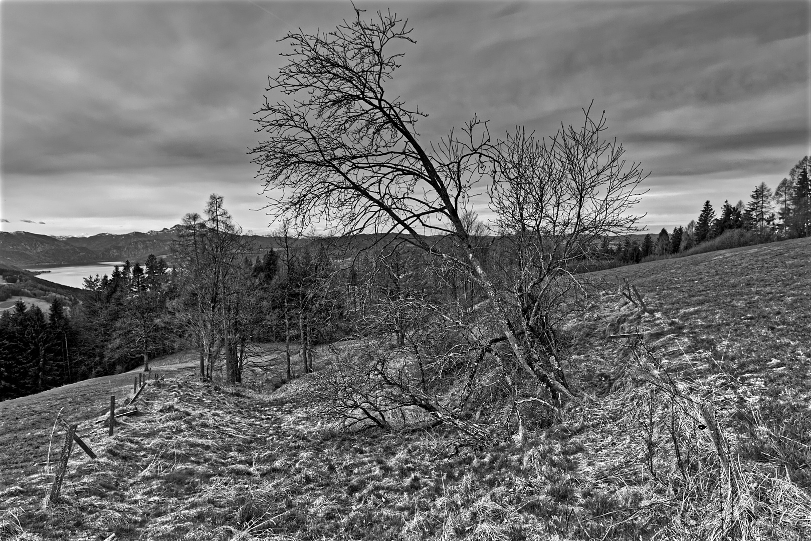 Landschaft in schwarz/weiß