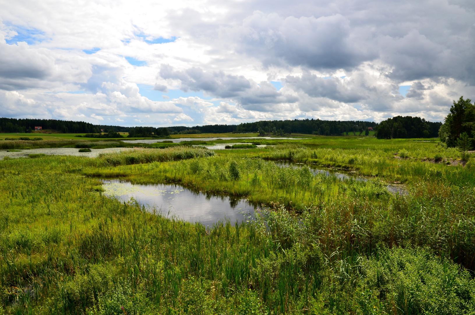 Landschaft in Schweden, Västmanland, Sommer 2011