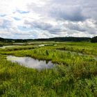 Landschaft in Schweden, Västmanland, Sommer 2011