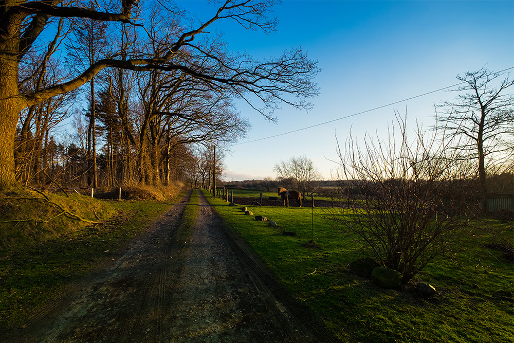 Landschaft in SH