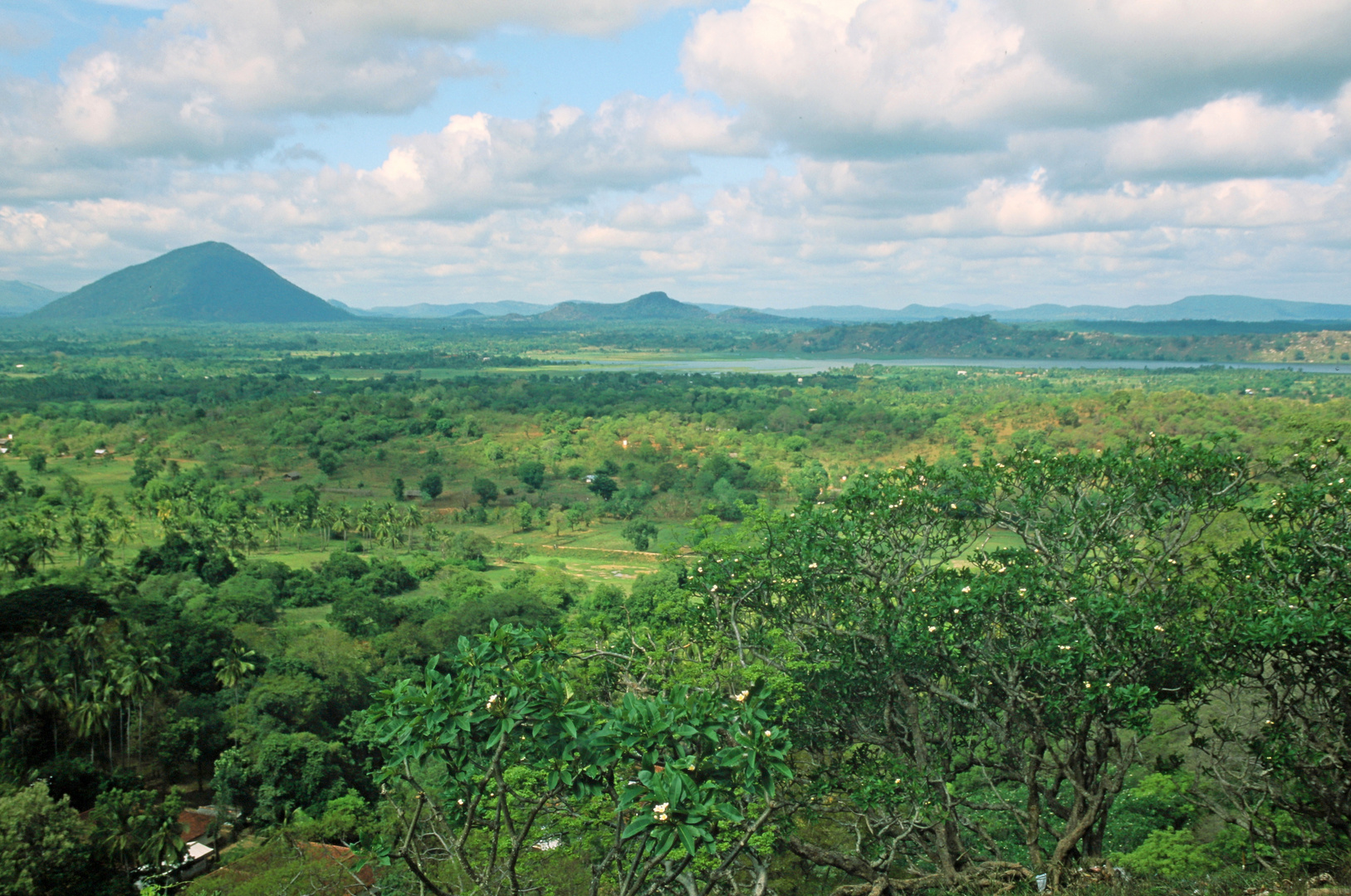 Landschaft in Sri Lanka