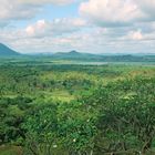 Landschaft in Sri Lanka