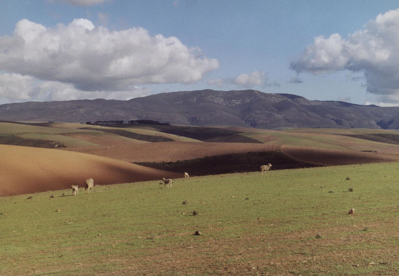 Landschaft in Südafrika