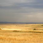 Landschaft in Südafrika