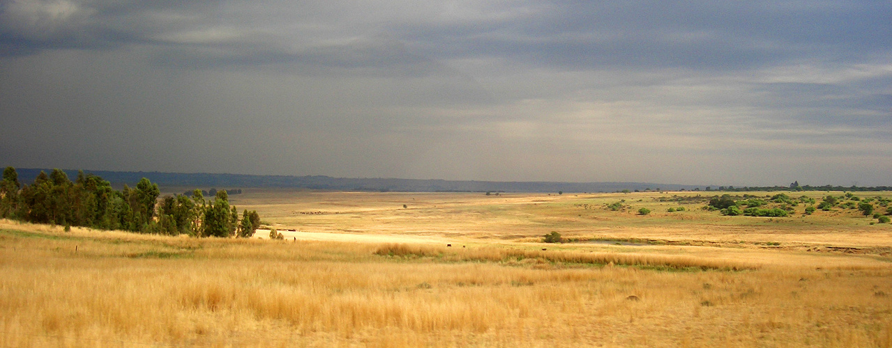 Landschaft in Südafrika