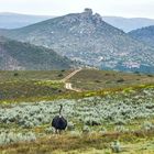 Landschaft in Südafrika .             ..DSC_4400