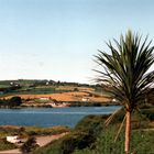 landschaft in südirland