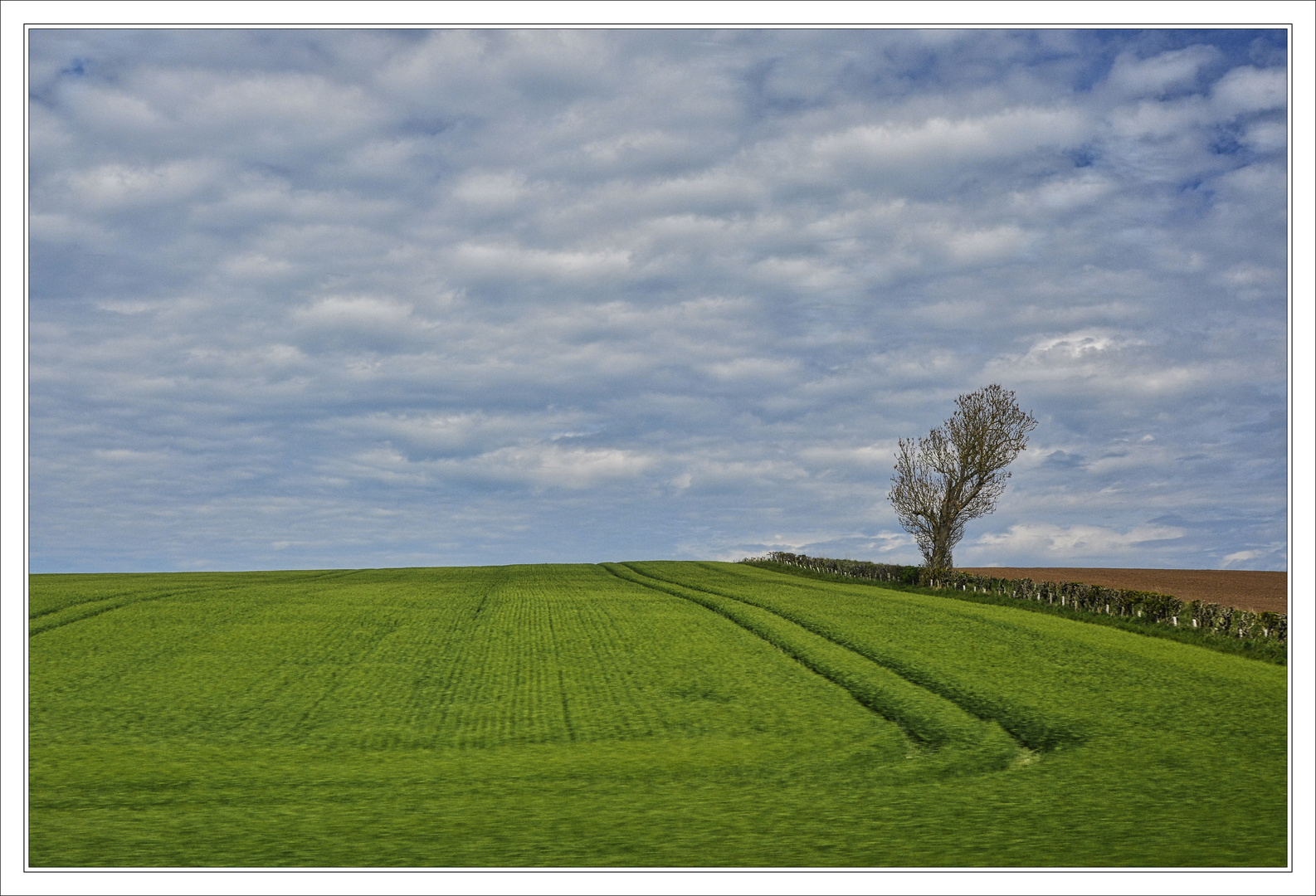 Landschaft in Südschottland