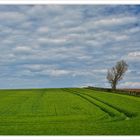 Landschaft in Südschottland