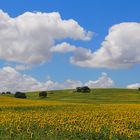 Landschaft in Südspanien