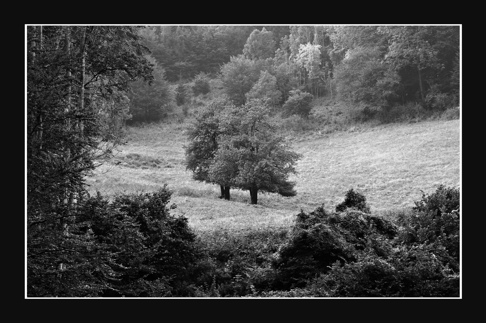 Landschaft  in SW