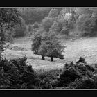 Landschaft  in SW