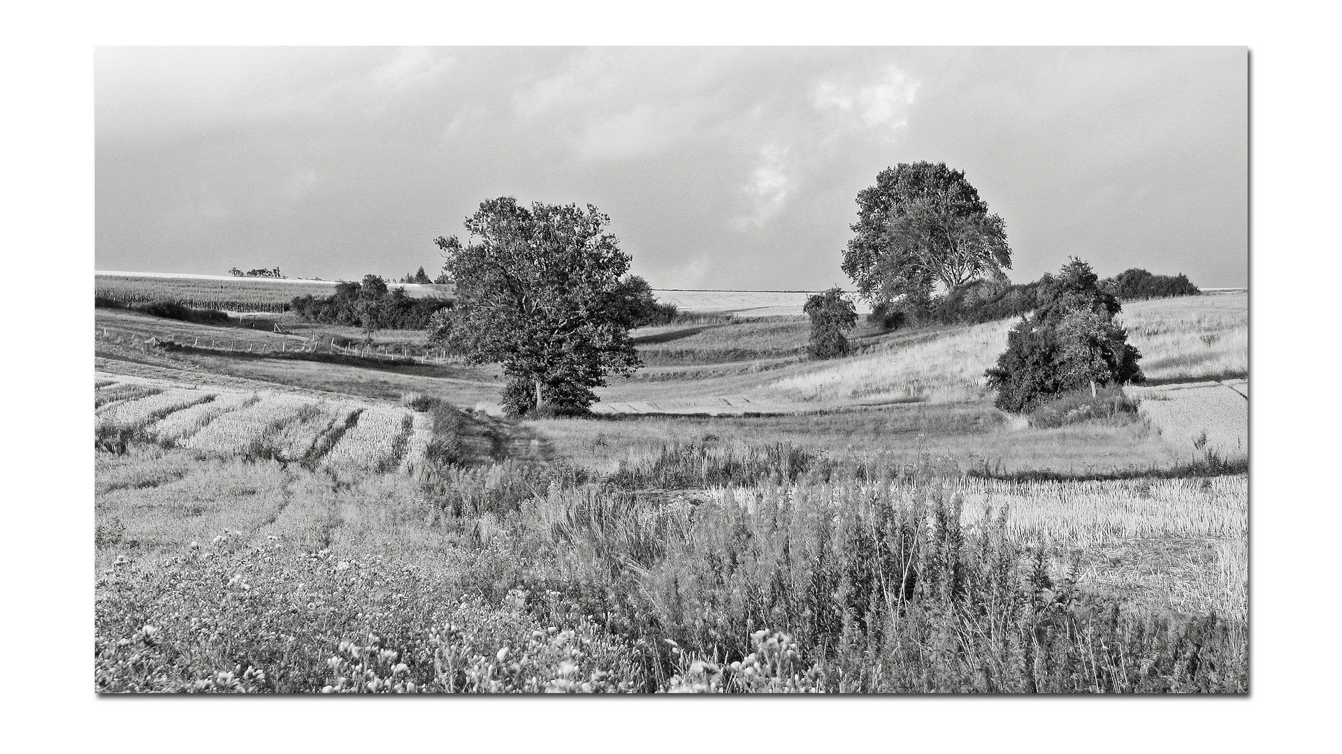 Landschaft in S/W