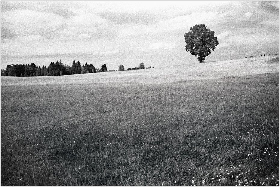 ... landschaft in s/w (und sogar analog) ...