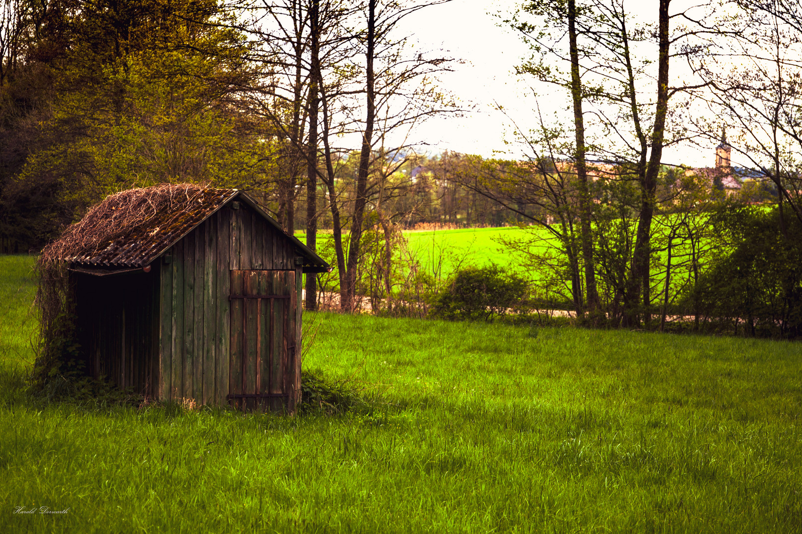 Landschaft in Tiefenbach