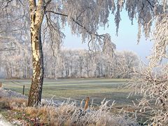 Landschaft in weiß............